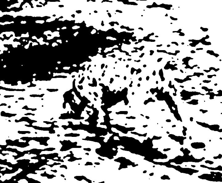 A series of dark blotches on a white background that contain the shape of a dog if recognized