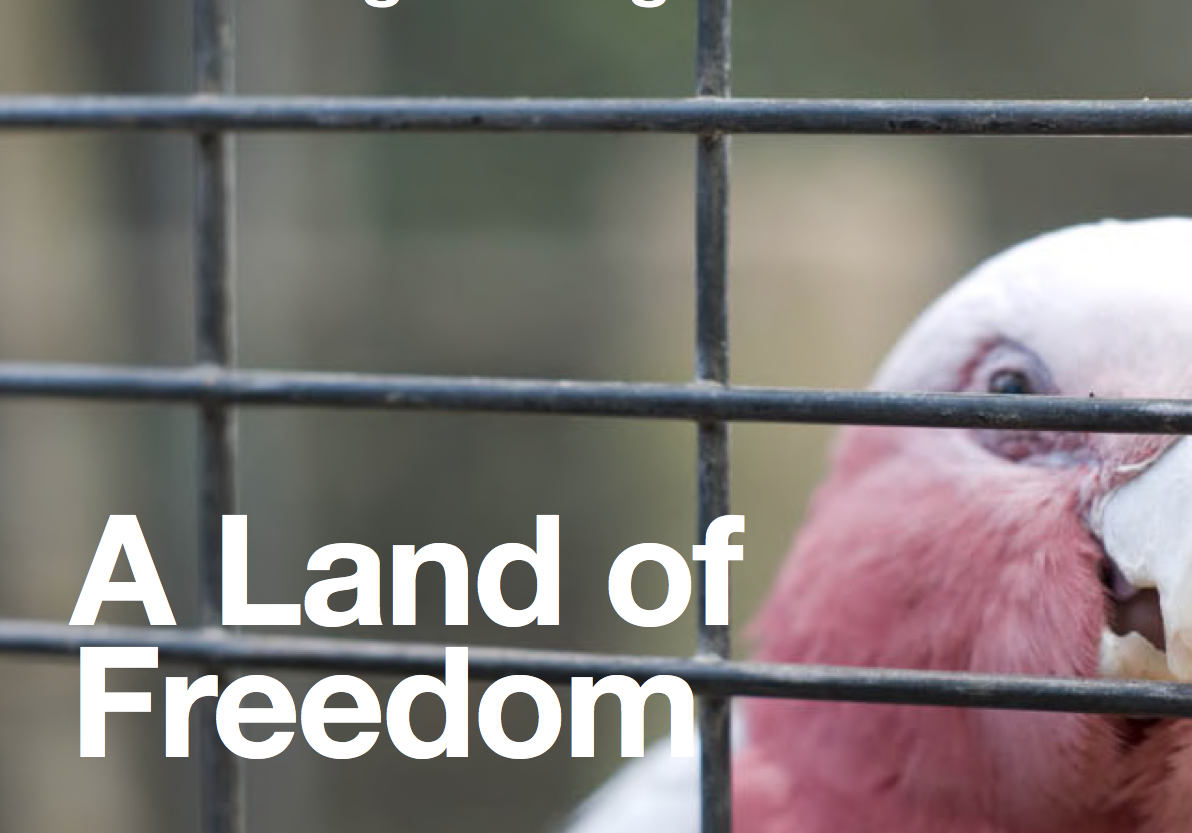A bird stuck in a cage with the words 'a land of freedom' written over top
