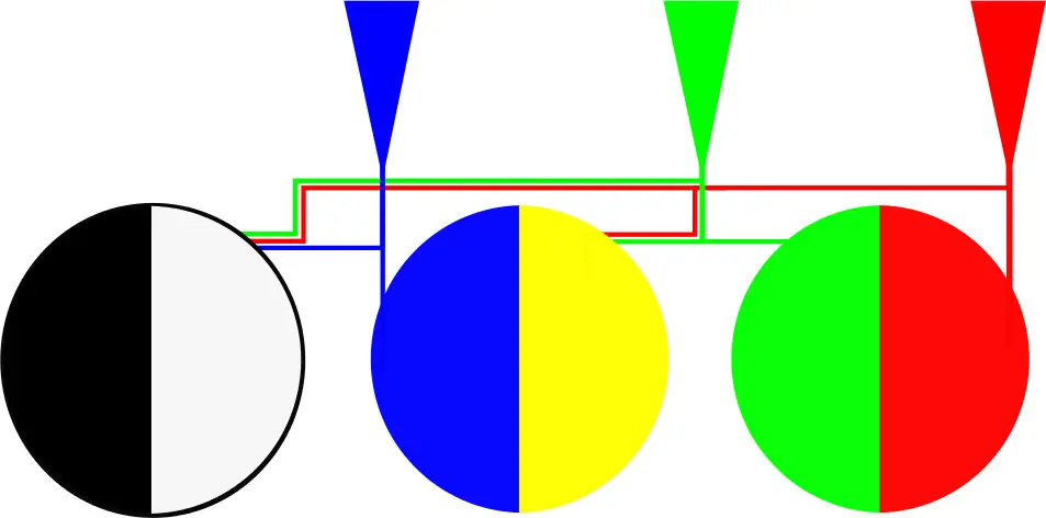 A diagram illustrating how trichromatics work