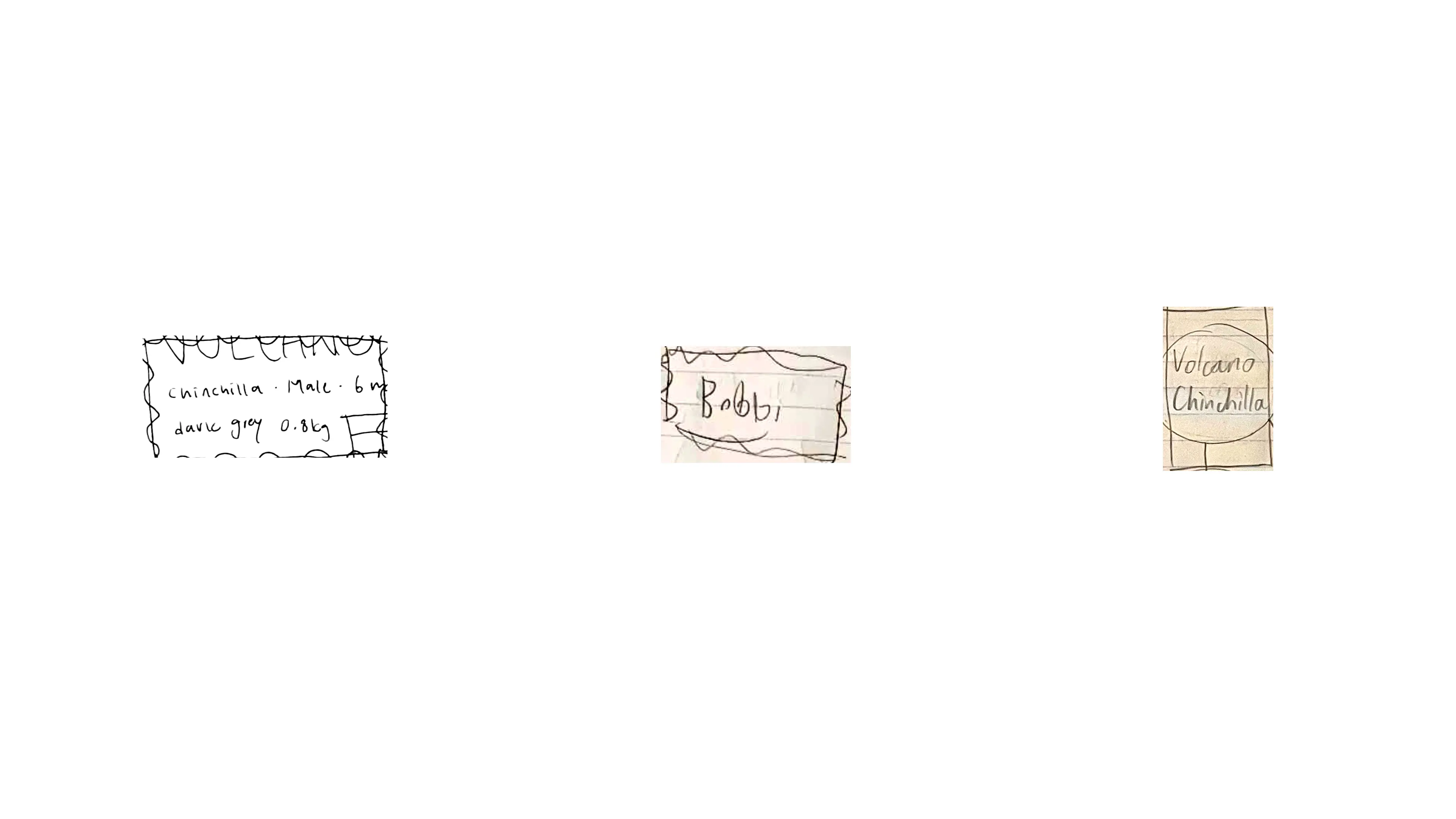 A set of sketches of frames