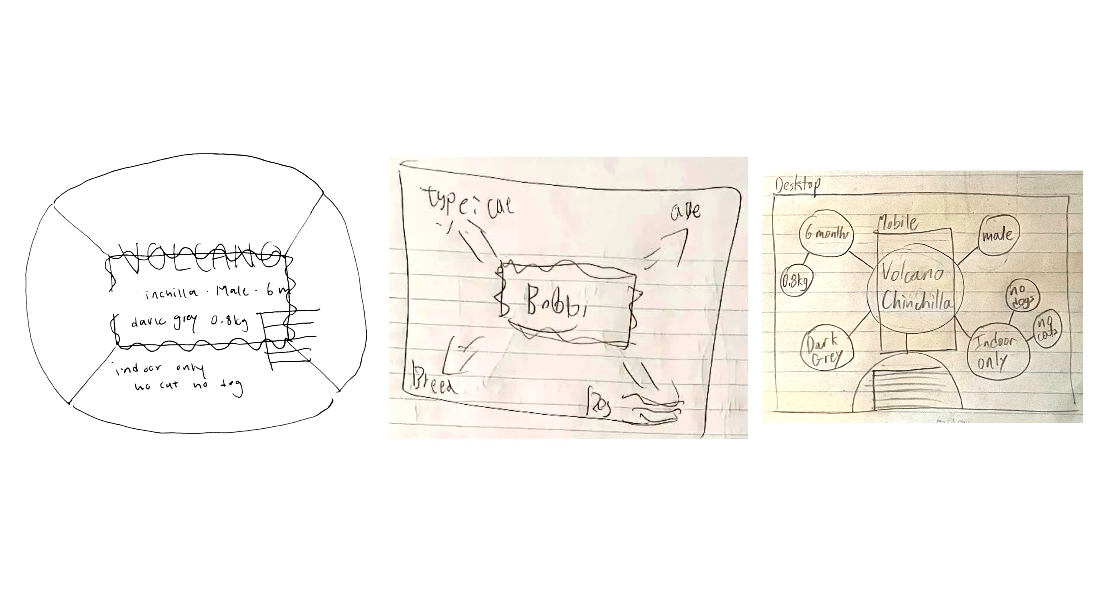 A set of sketches of frames