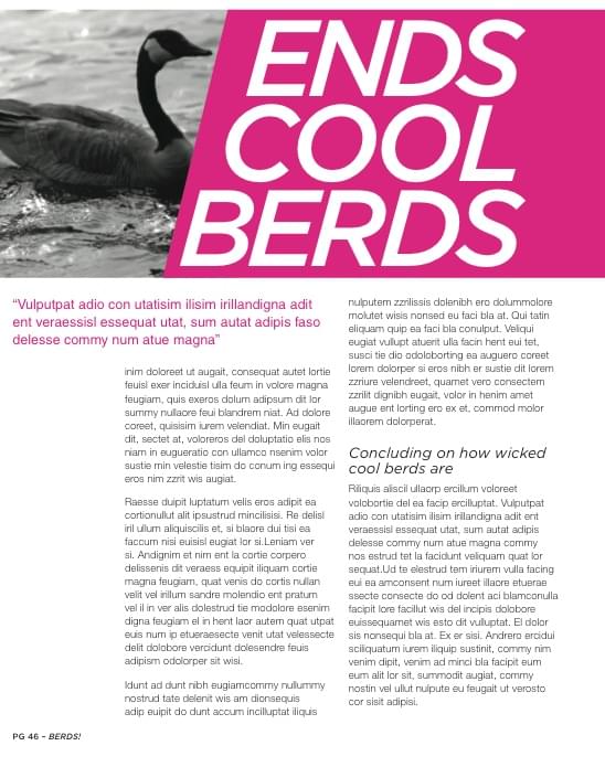 One page of a magazine article on birds