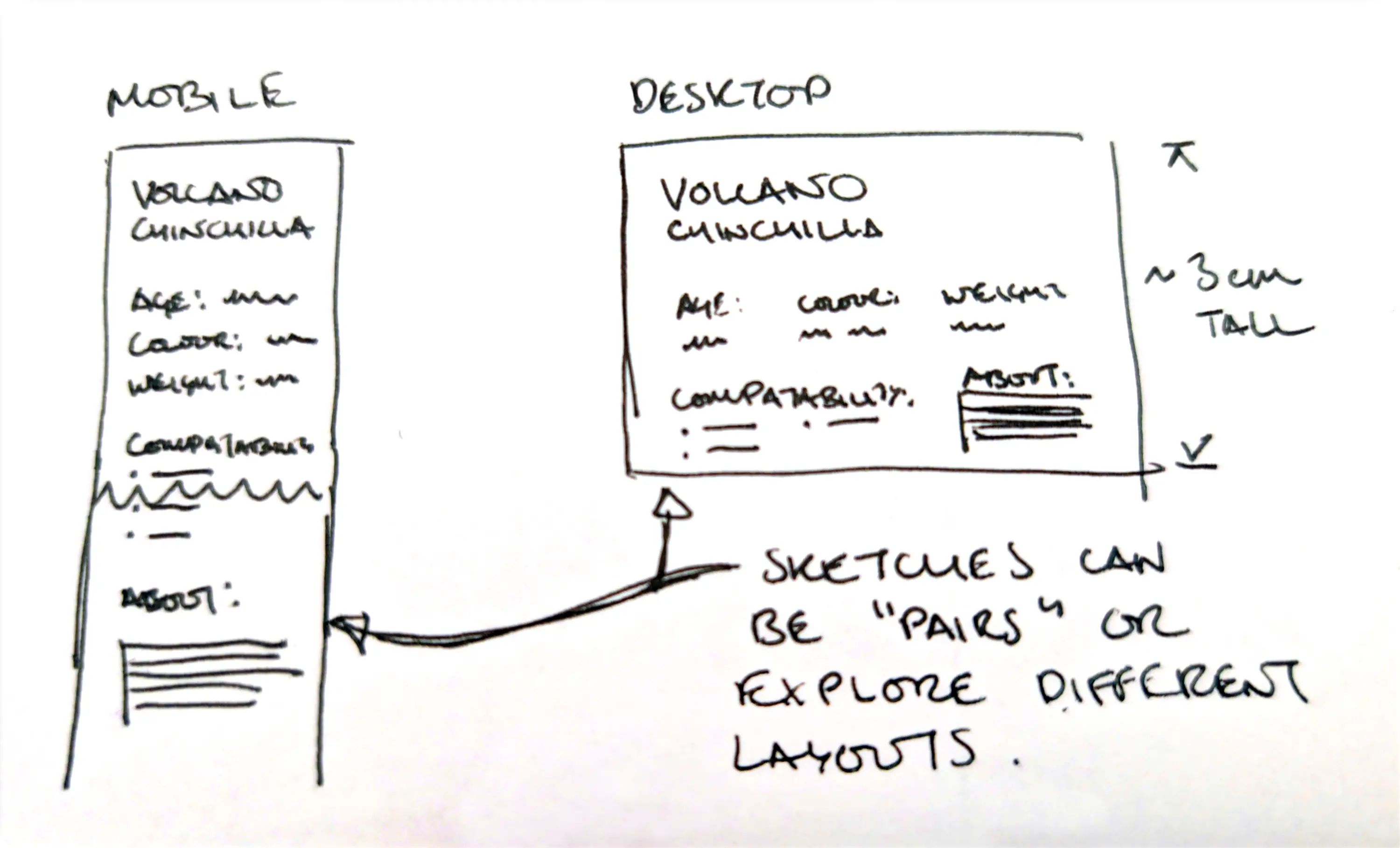 A sketch illustrating a mobile and desktop layout for P1