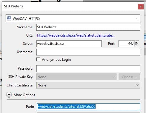 The Cyberduck bookmark setup UI showing the more options dropdown open and the path set